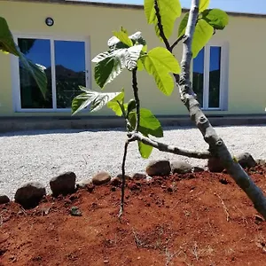  Casa vacanze La Casa Dei Fichi